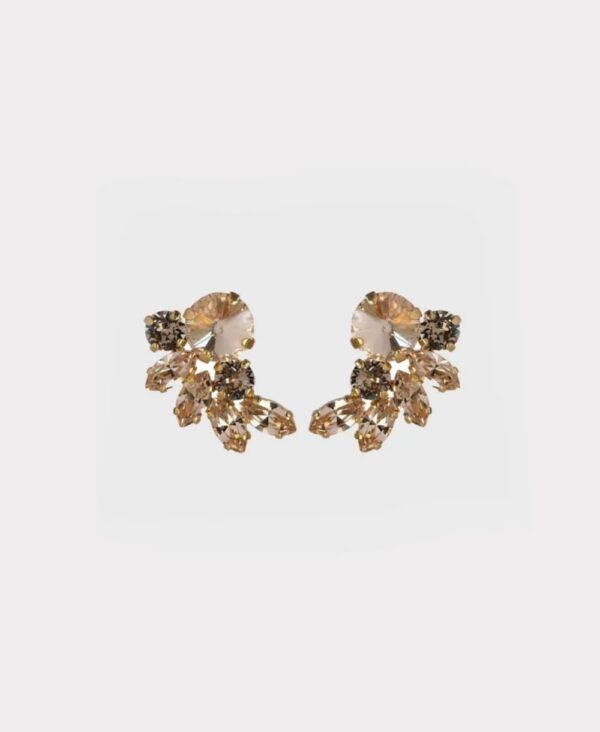 Earrings new